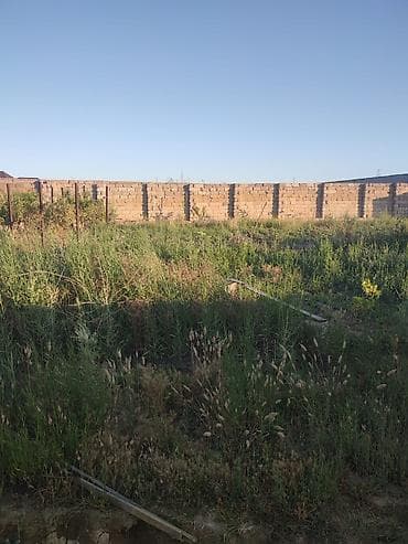 məhəmməd: Mehemmedli qesebesi zeytun bagiyla uzbe uz 8 soot kupcali torpaq — 3