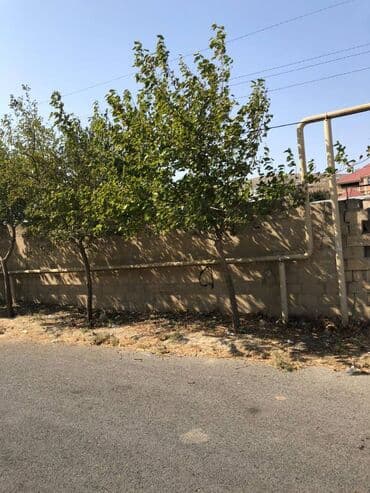 продажа недвижимости в азербайджане: 20 соток, Для строительства, Риэлтор, Купчая — 5