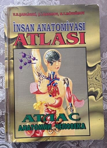 atlas koynekler: İnsan Anatomiyası Atlası Атлас анатомии человека Həm rusca, həm — 1