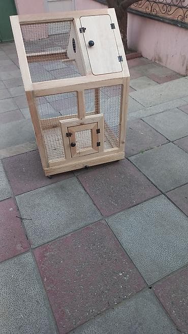 qus dami satilir: Qəfəs təzədi ölçüsü eni 55 uzunu 55 hündürlük 80 təkərlidi . başqa — 3