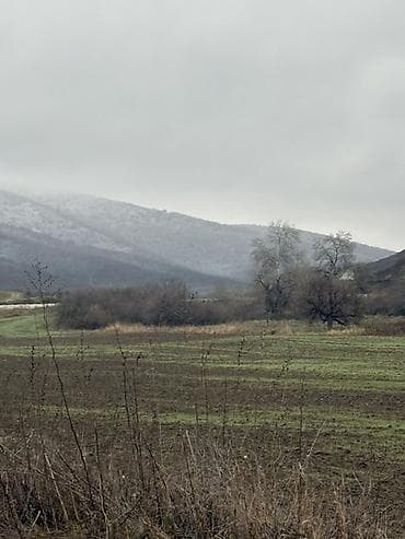 tarqovuda satilan evler: Kənd təsərrüfatı — 3