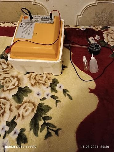 Çin, Bütün növ quşlaq üçün