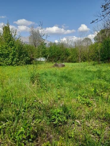 аренда и продажа недвижимости: 30 sot, Kənd təsərrüfatı, Mülkiyyətçi, Kupça (Çıxarış) — 6