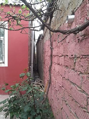 bakida satilan evler: 3 kv. m, 3 otaqlı — 4