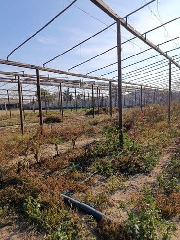 Sera karkası – metal konstruksiya - Konstruksiya: möhkəm metal at lalafo.az — 5 Sera karkası – metal konstruksiya - Konstruksiya: möhkəm metal — 5