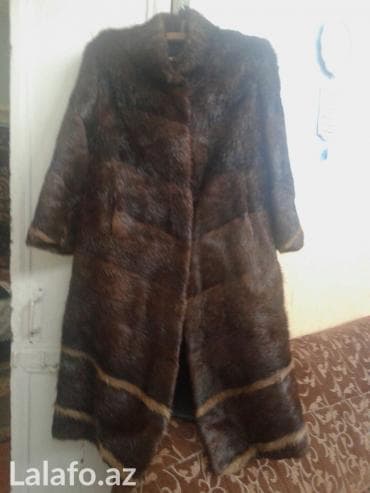 ремонт шуб: Şuba ondatra — 1