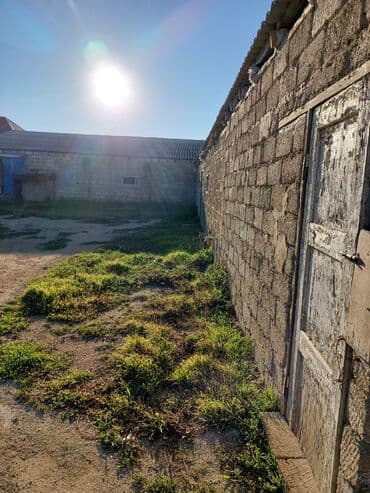 xacmaz rayonu: Bakı, Qala qəs., 550 kv. m, 3 otaqlı, Hovuzsuz, Artezian quyusu, Qaz, Su — 15