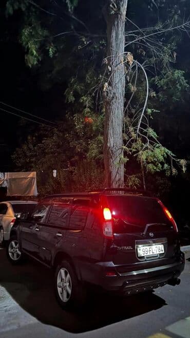 ниссан жук: Nissan X-Trail: 2 л | 2001 г. Внедорожник — 2