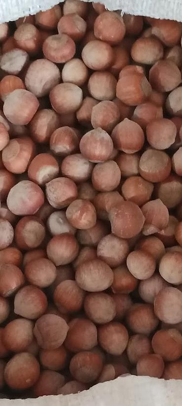 Ləpələr: Məhsul: Təbii fındıq (qabıqlı) Təsvir: - Yerli bağdan yığılmış — 1