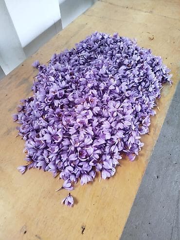 salfetka: Quru meyvələr — 10