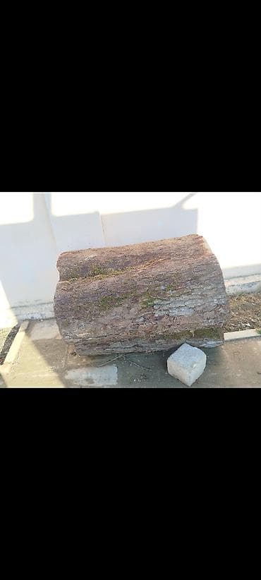 odun taxta: Böyük ölçülü ağac kötüyü - Təbii massiv ağacdan iri kötük - Silindrik — 2
