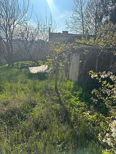3 sot, Tikinti, Makler, Kupça (Çıxarış) — 7