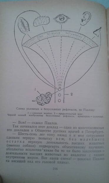 преступление и наказание: Продаются разные книги о знаменитых личностях: "Иван Павлов" 1952 год — 8