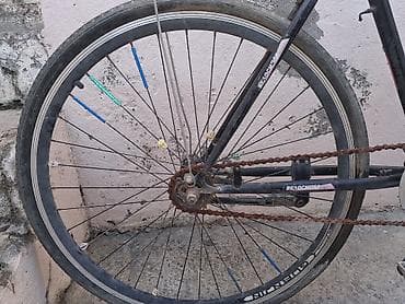 velosiped 100: Təcili velosiped satılır. 28 lil. Belə vəziyyətdədir. Sualınız olsa — 4