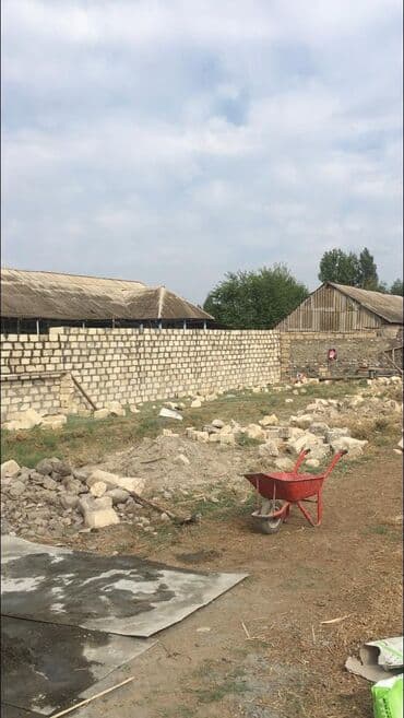 33 sot, Kupça (Çıxarış)