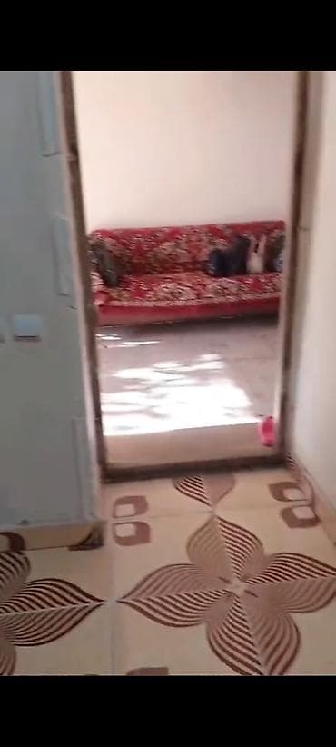 60 м², 2 комнаты, Комби, Газ, Электричество — 9