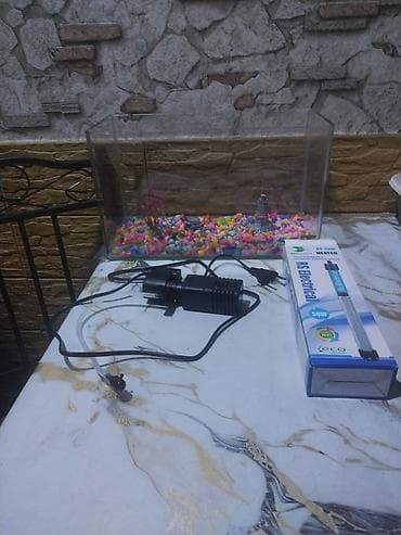 wortex su filteri: Akvaryum dəsti - Şüşə akvaryum (təxminən kiçik/orta həcm). Düz — 2