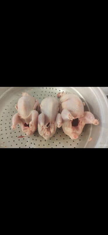 donuz eti: Məhsul: Təmizlənmiş və qablaşdırılmış bıldırcın Təsvir: - Tam — 4