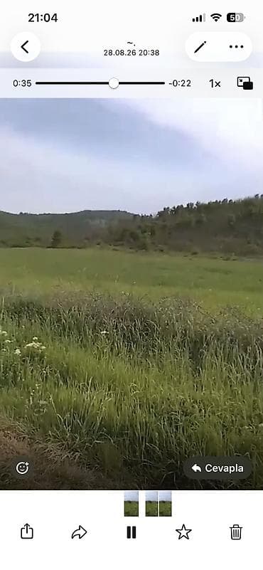Quba seherinin deveci rayonu Zeyve kendi Devecinin alt yaninda 1hektar — 4