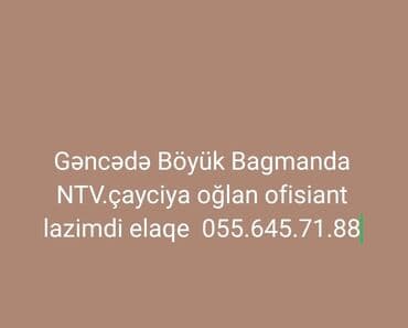 Satış: Ofisiant tələb olunur — 1