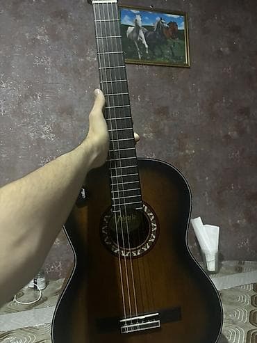 gitara simi: Klassik gitara, Yeni, Ödənişli çatdırılma — 2