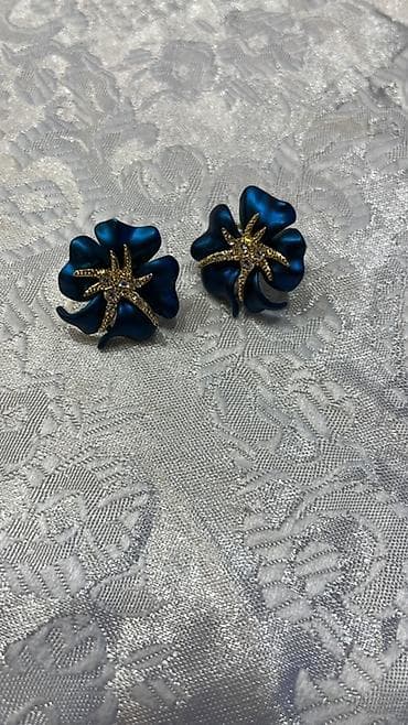 Наручные часы: Серьги — 1