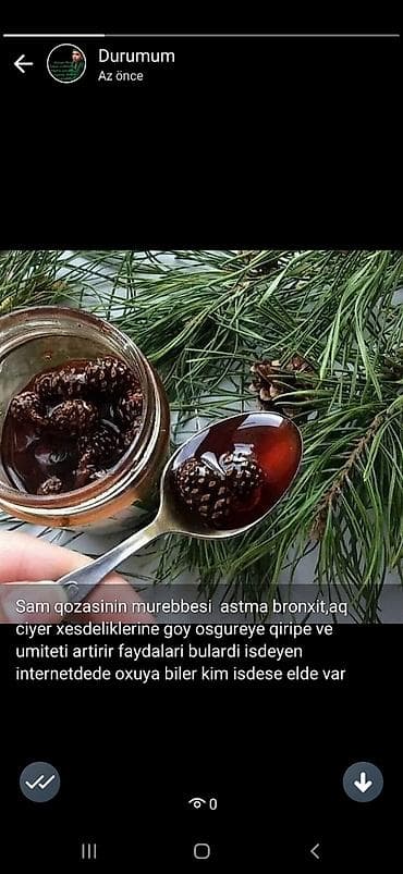 Şam qozasinin murebbesi goy osgireye bronxlara aq ciyere qan aliqi lalafo.az -da Şam qozasinin murebbesi goy osgireye bronxlara aq ciyere qan aliqi