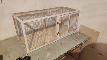 купить клетку для морской свинки: Dovşan,hamster,şinşila,bildirçin,cücə,xamyak,pişik,quş ve s kimi ev — 3