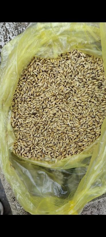 Məhsul: (buğda və arpa)

Təsvir:
- Təmiz arpa və buğda məhsulları var