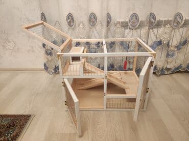 ag dovsan: Dovşan,hamster,dağ — 5