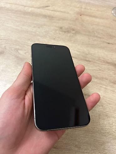 Mini: IPhone 15 Pro Max, 256 GB, Desert Titanium, Face ID — 7