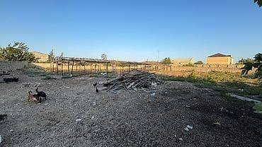 basavik satisi: Kənd təsərrüfatı, Kupça (Çıxarış) — 3