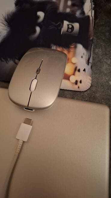 Ноутбуки: RGB işıqlı simsiz optik mouse 1 aydan çox zaryatka saxlayır. Səssiz — 8