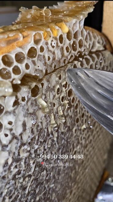 bal: 100% Tam Təbii bal. Endirim: İlk defe alanlara 10% endirim. 4kq — 5