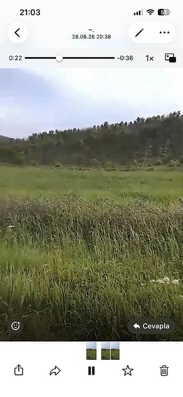 Quba seherinin deveci rayonu Zeyve kendi Devecinin alt yaninda 1hektar — 6