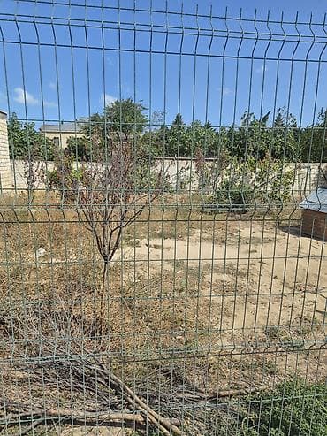 3 sot, Tikinti, Mülkiyyətçi, Kupça (Çıxarış), Texniki pasport