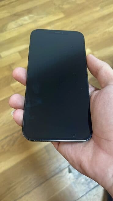 irşad electronics iphone 12 pro max: IPhone 12 Pro Max, 256 GB, Mavi, Face ID — 2