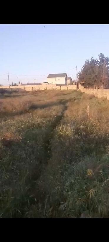 a farm evler: 15 sot, Tikinti, Kupça (Çıxarış) — 4