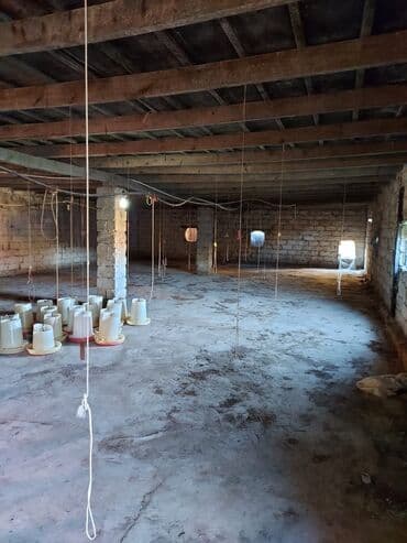 xacmaz rayonu: Bakı, Qala qəs., 550 kv. m, 3 otaqlı, Hovuzsuz, Artezian quyusu, Qaz, Su — 3