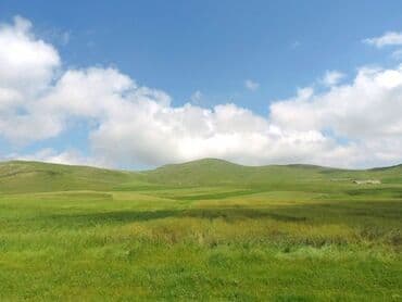 земельные участки коммерческого назначения: Parnik yeri.Şamaxı rayonu Xilmilli kəndində yerləşir. 6 hektar yerdi — 1