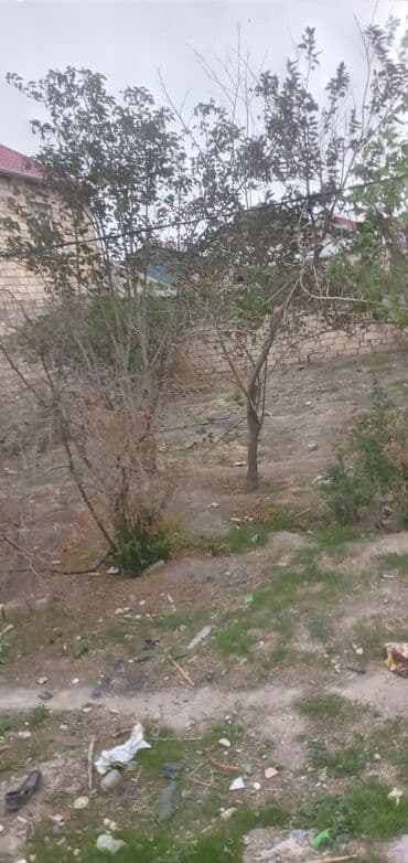 mx group inşaat: 2 sot, Tikinti, Mülkiyyətçi, Kupça (Çıxarış) — 10