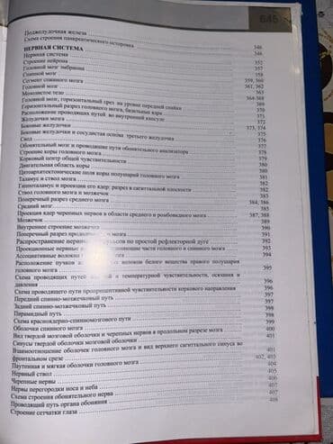 atlas koynekler: Məhsul: “İnsan Anatomiyası Atlası” – 3-cü nəşr - Müəlliflər: V.B — 16