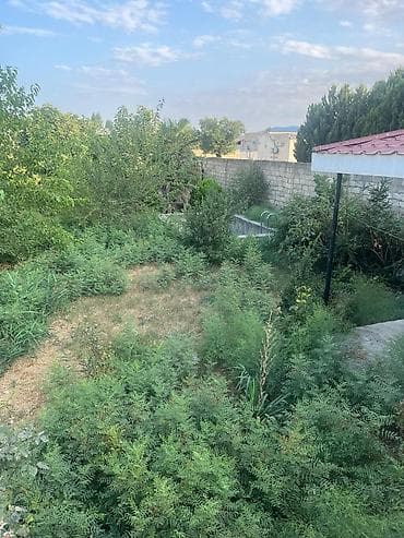 aylig kiraye evler: 7 sot, Tikinti, Mülkiyyətçi, Kupça (Çıxarış) — 6