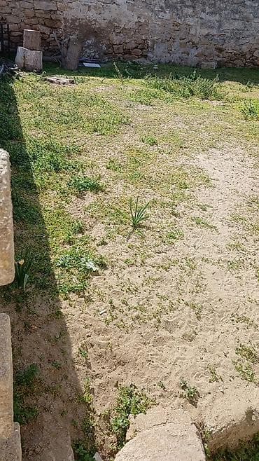 savalanda torpaq satilir: Tikinti — 4