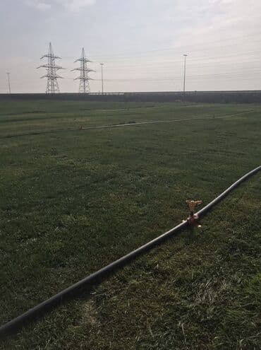 suni qazon qiyməti: Rulonilyan (çəmən örtüyü) – intensiv suvarma sistemi ilə becərilmiş — 4