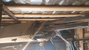 asma tavan qiymətlər: Printus aliminum — 1