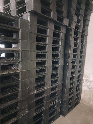 Ticarət printerləri və skanerləri: Plasmas paddon — 4