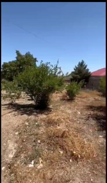 binə qesebesi: Tikinti, Mülkiyyətçi, Kupça (Çıxarış) — 2