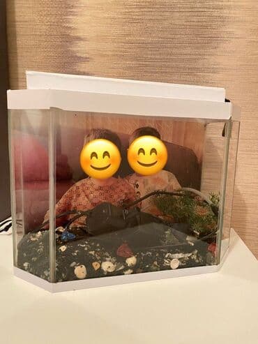 baliqlar: Dördbucaq akvarium, Boş, 2 l, Ünvandan götürmə — 1