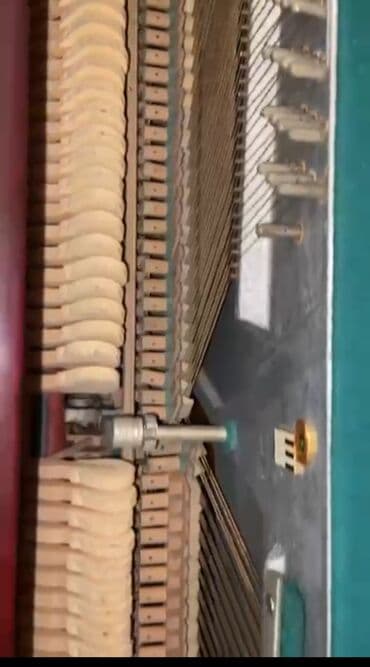 Tar: Piano, Belarus, Akustik — 4